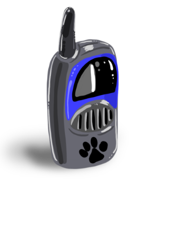 Walkie Talkie