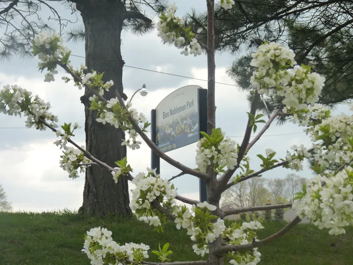 Ben Nobleman Park