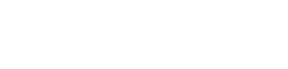 Logo for countbricks.com