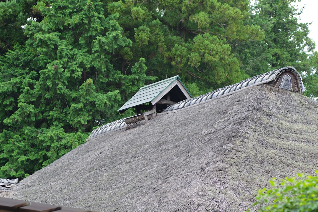 CountBricks Roofing and Siding in Tallahassee Florida Pros