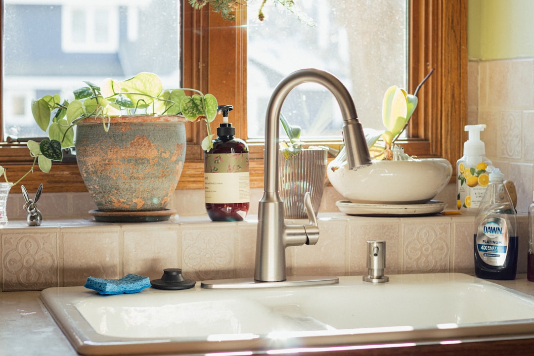 CountBricks: Replace Kitchen Faucet Experts | Residential