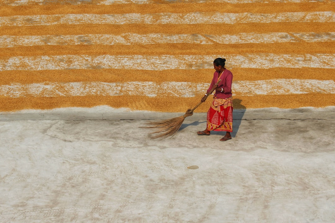 CountBricks Carpet Cleaning Des Moines Homes