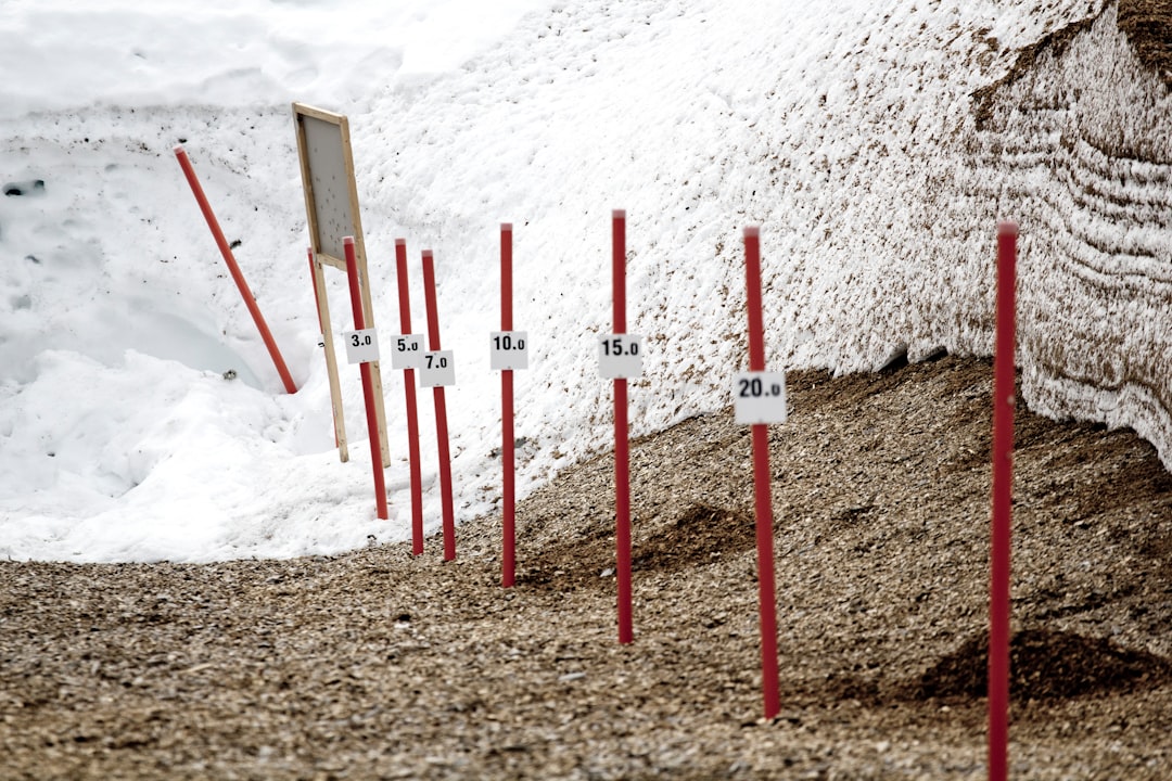 Artificial Turf Install Cost Insights | CountBricks Experts