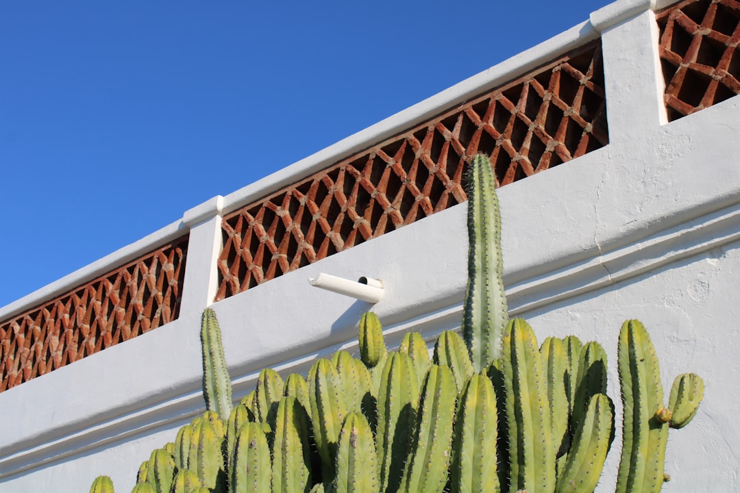 CountBricks Trellis Phoenix: Residential Outdoor Experts