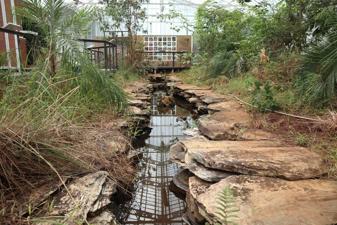 CountBricks: Cost to Drain & Clean Houston Pools After Flood