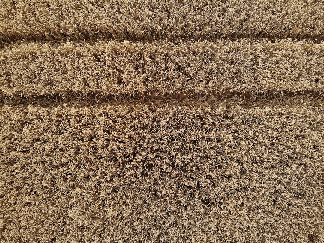CountBricks Carpet Riverside CA Residential Estimates
