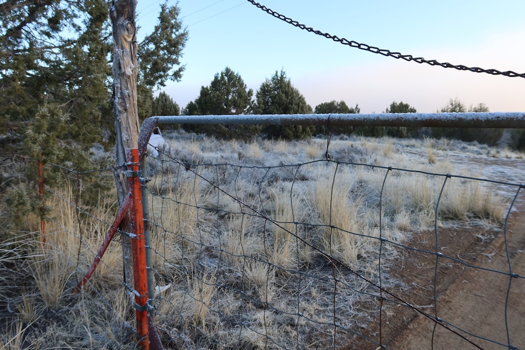 CountBricks Fencing in Tucson | Residential Pros