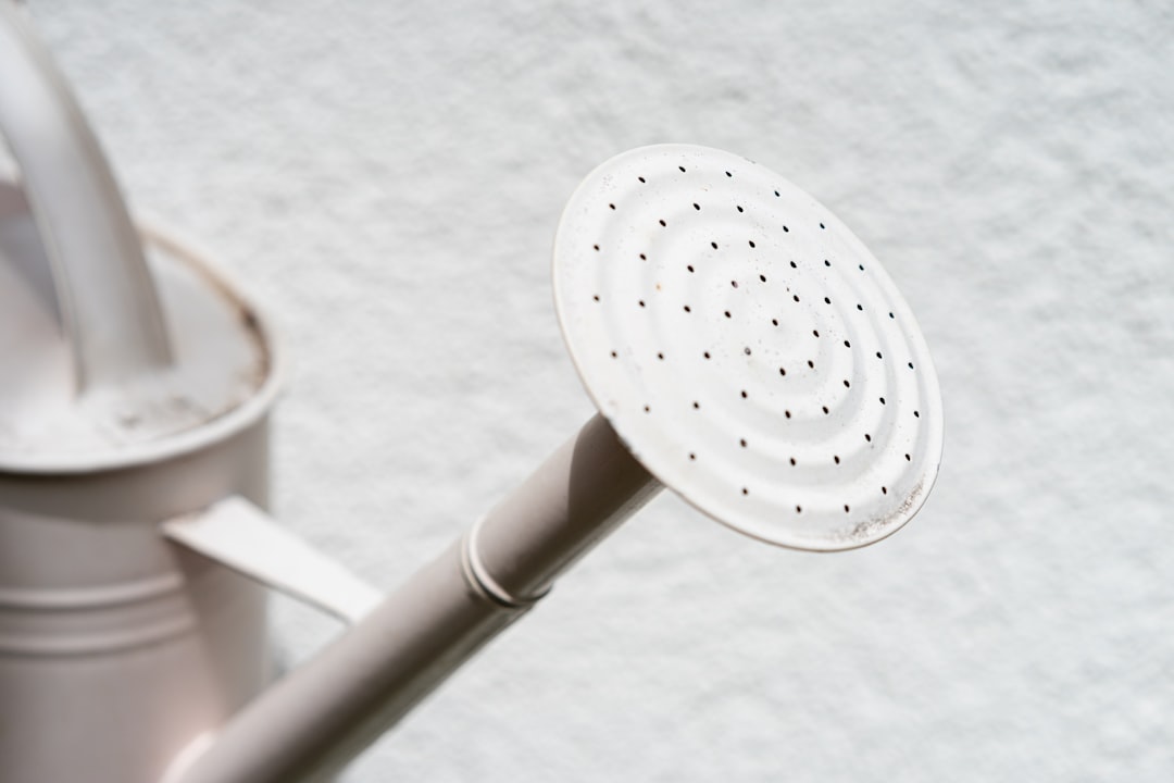 CountBricks: Shower Head Replacement Cost Explained