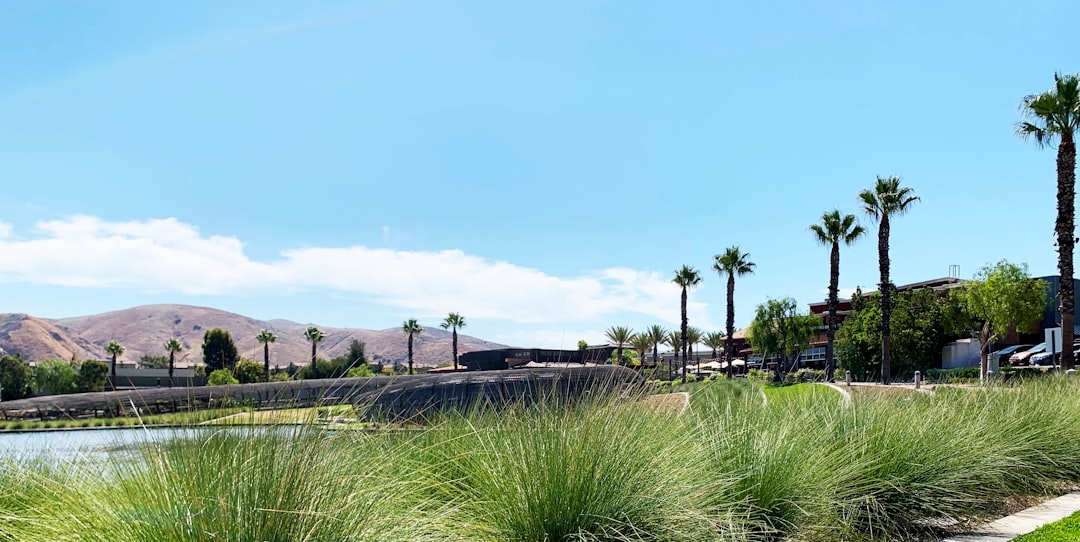 CountBricks: Artificial Grass Las Vegas Price Guide 2025