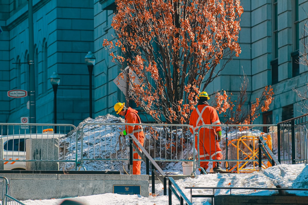 CountBricks: Residential Plant Tree Cost Guide