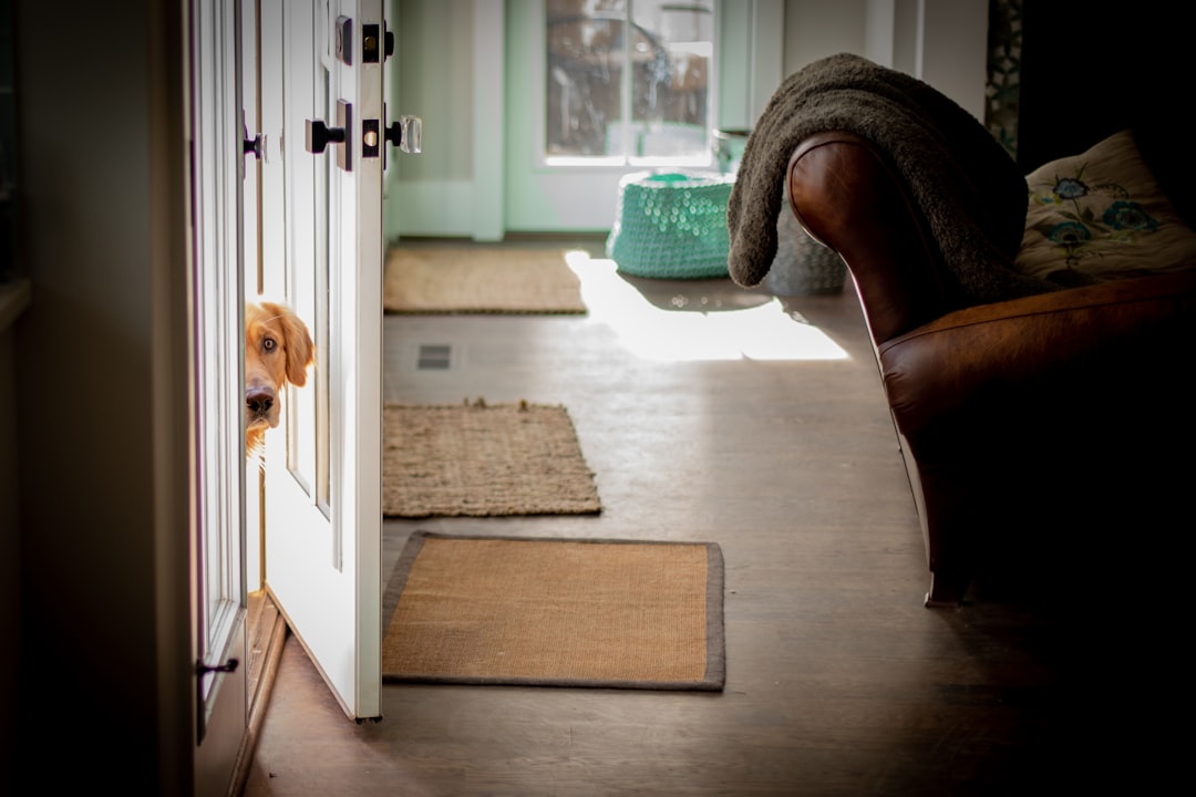 CountBricks: cost to install a dog door for your home