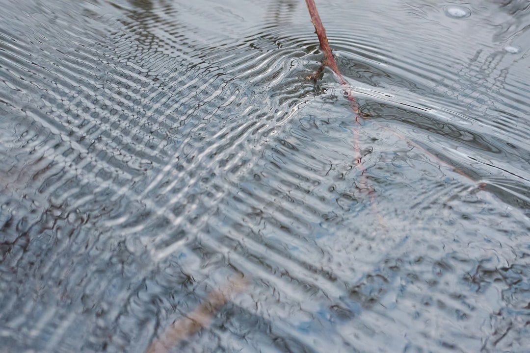 CountBricks Water Damage Carpet Cleaning for Homes