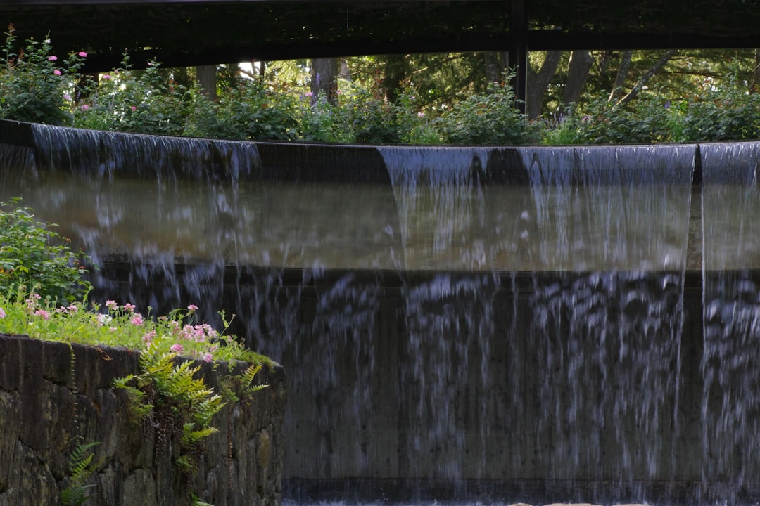 CountBricks water purification systems Knoxville TN experts