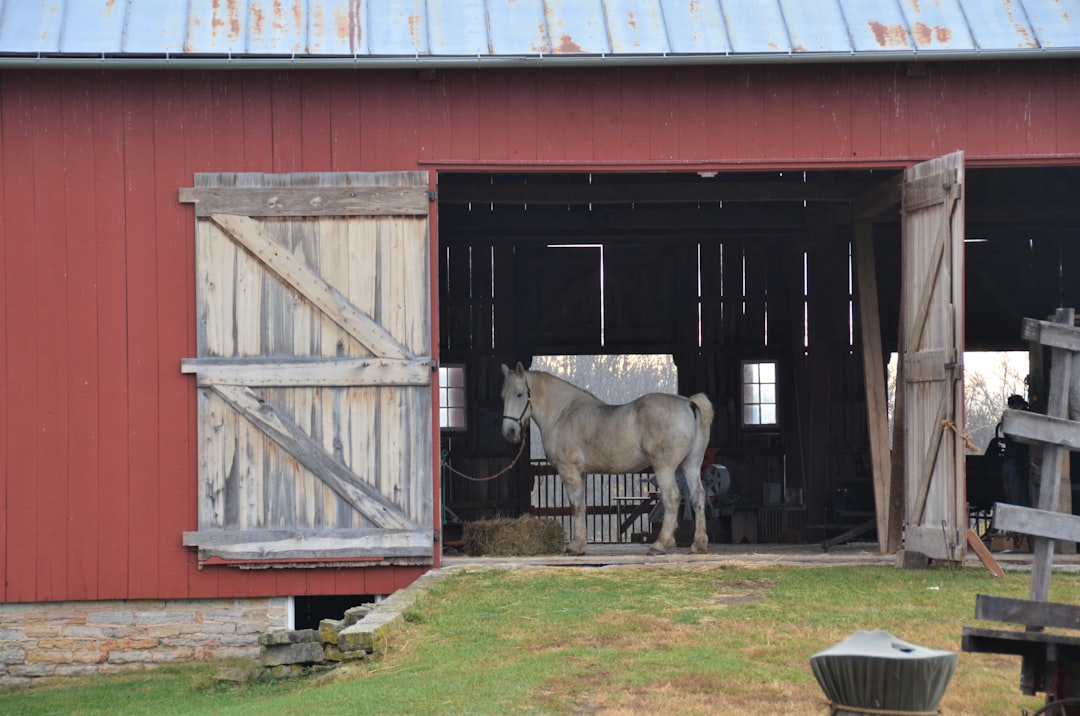 CountBricks Garage Door Installation Buffalo NY Experts