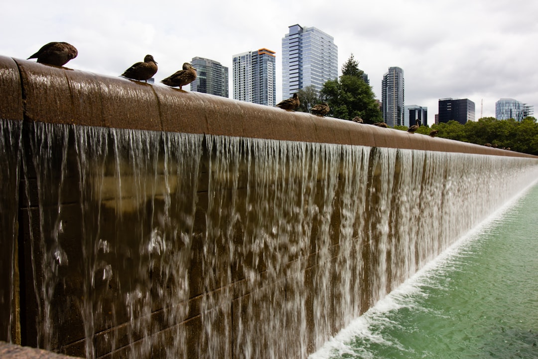 CountBricks: Fountain Installation Dallas Experts