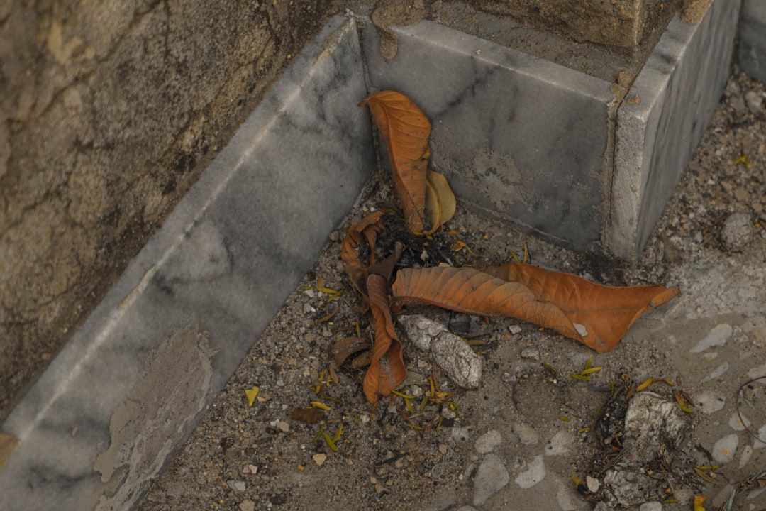 CountBricks Plumbing Repair Louisville KY Specialists