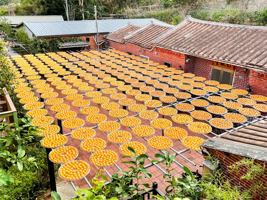 CountBricks Guide: Accurate birm plant estimates for homes