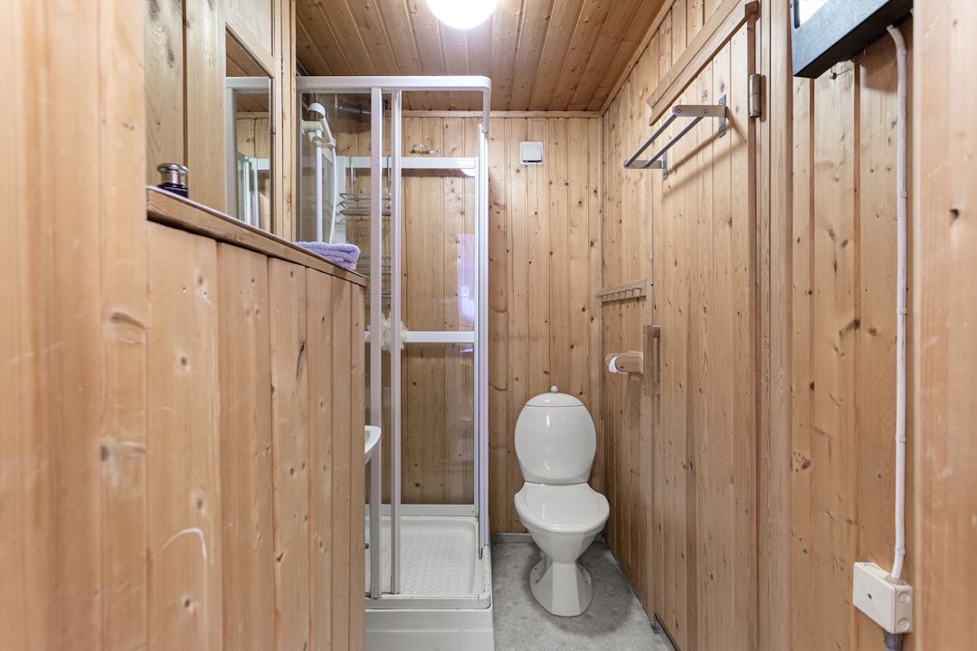 2025 Toilet Seat Replacement Labor Costs