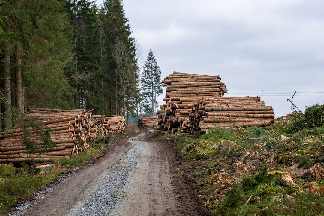 Cedar Siding Labor Costs 2025: CountBricks Guide