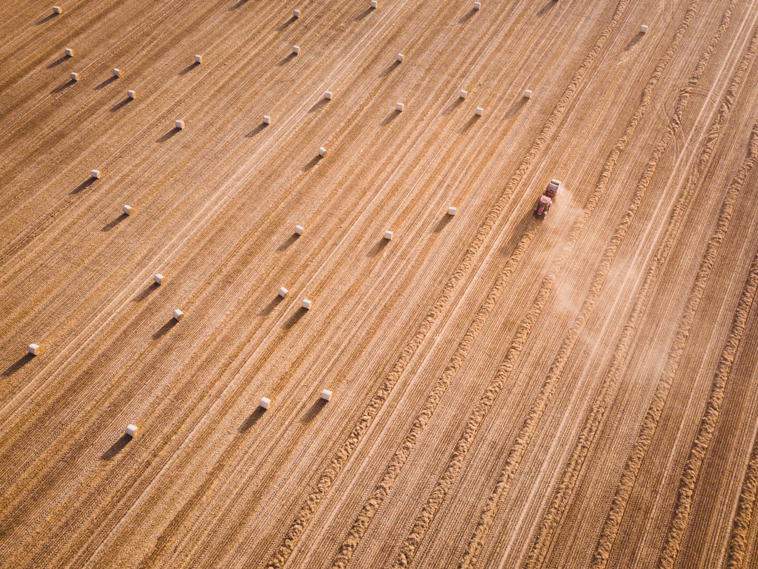 CountBricks Wood Floor Refinishing Portland Experts