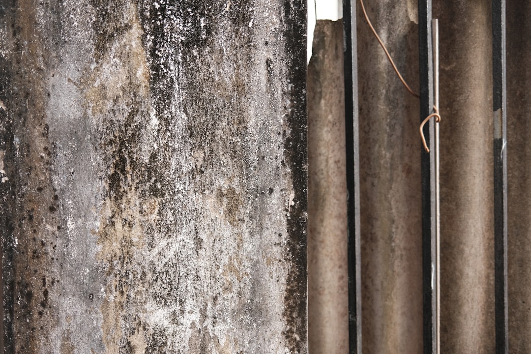 CountBricks: How to Replace Water Line on Refrigerator Guide