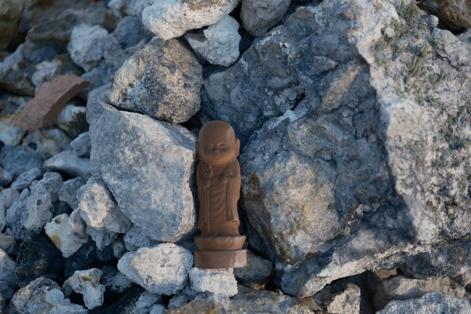 stump and grinder in construction work