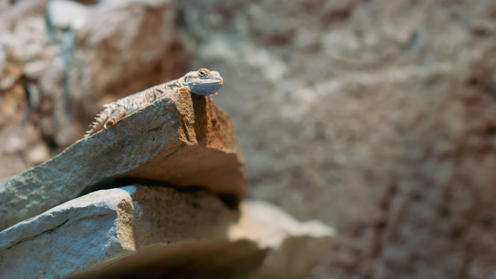 stone and saw in construction work