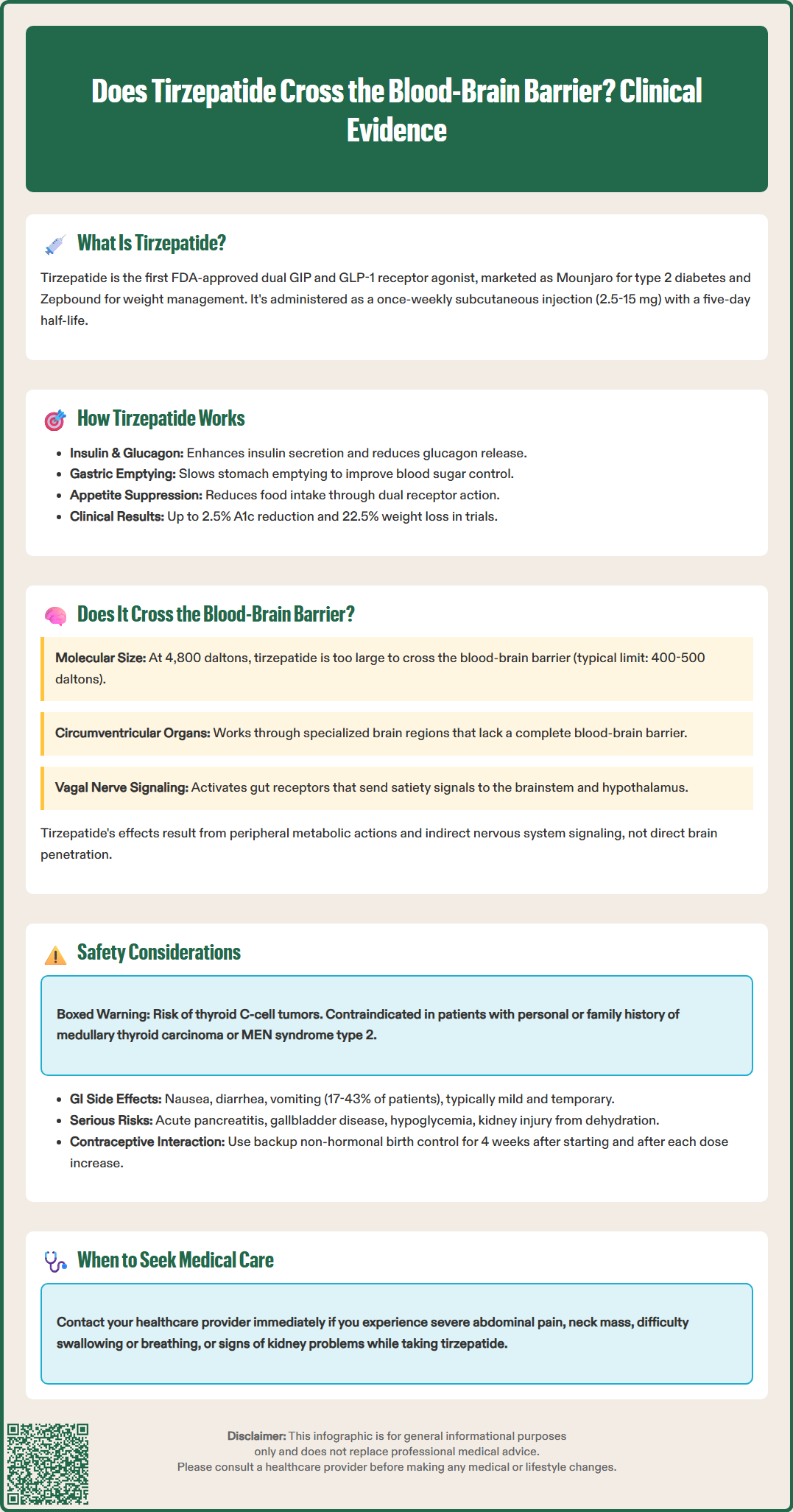 does tirzepatide cross the blood brain barrier