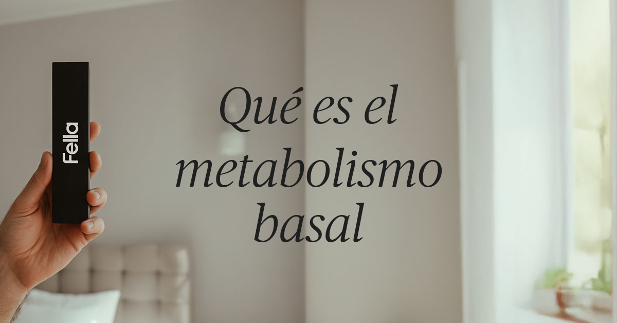 qu es el metabolismo basal