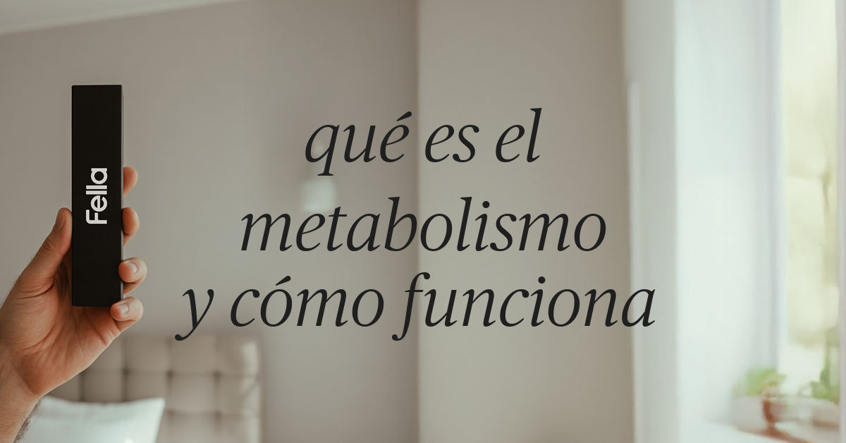 que es el metabolismo y como funciona