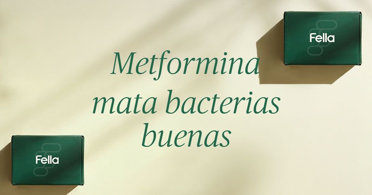 metformina mata bacterias buenas del intestino