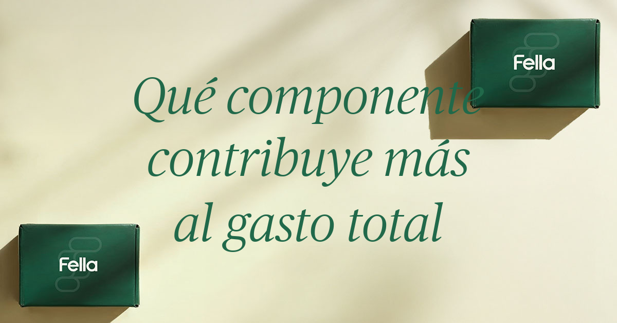 que componente contribuye mas al gasto total de energia