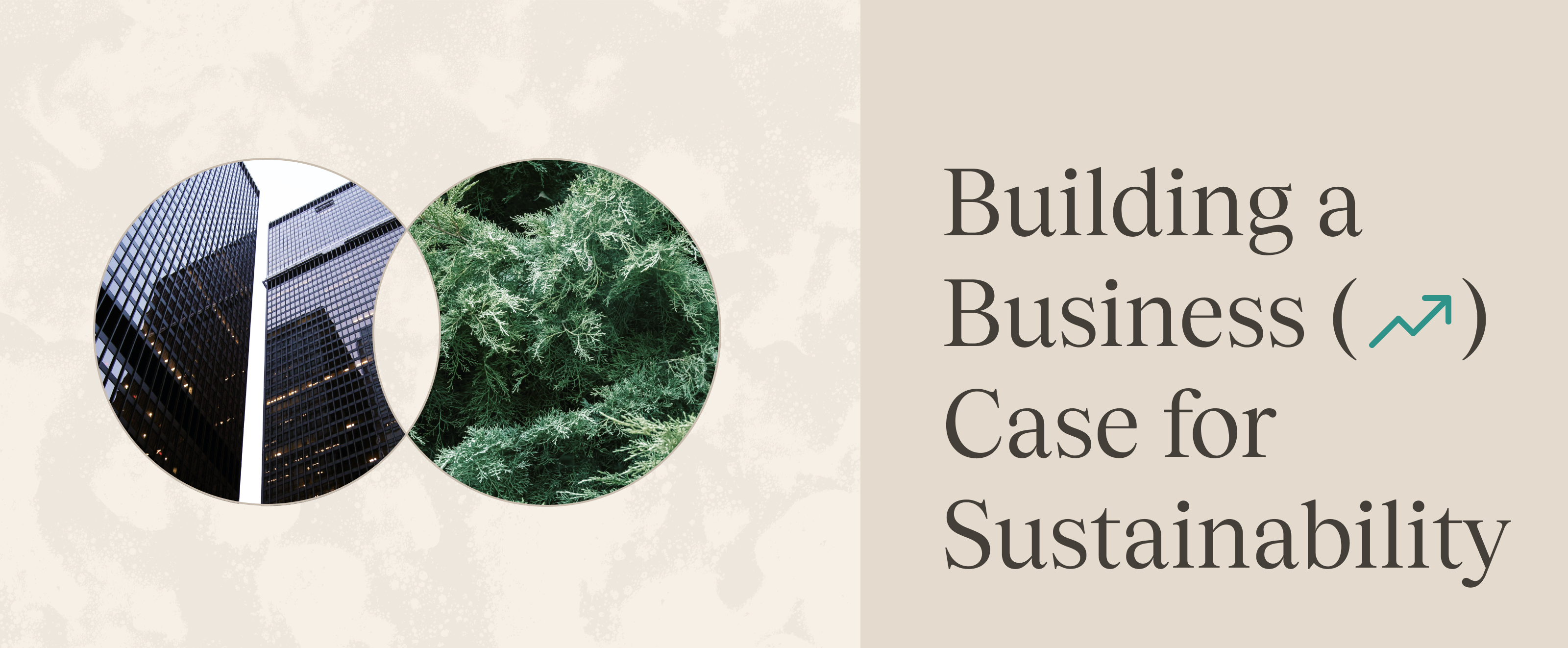 How to Build a Business Case for Sustainability (CFO-Ready)