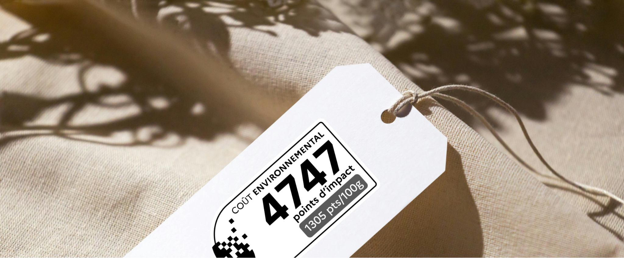 Vaayu's graphic showing a French Environmental Cost label/Eco-Score