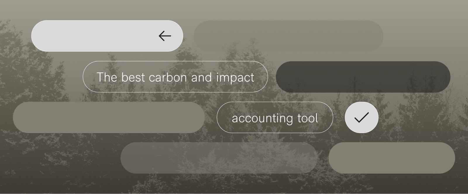 Which carbon and impact accounting tool is the best?