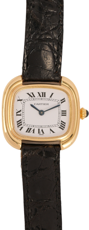 CMS watch image