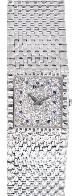 CMS watch image