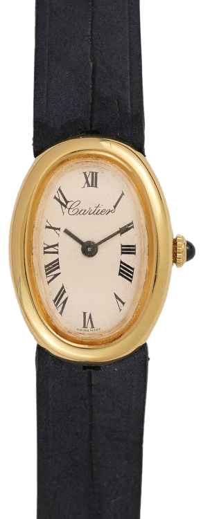 CMS watch image