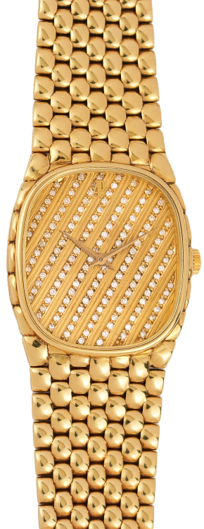 CMS watch image