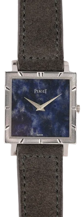 CMS watch image