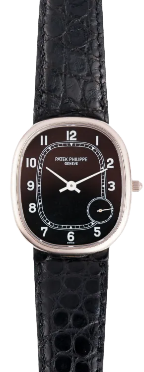 Patek Philippe Ellipse 5028G