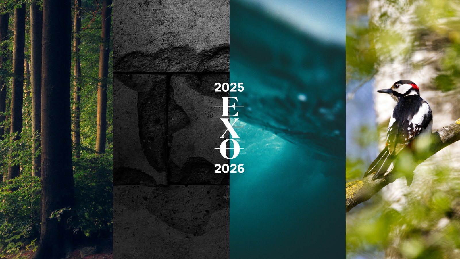 Announcing our 2025-26 Season!