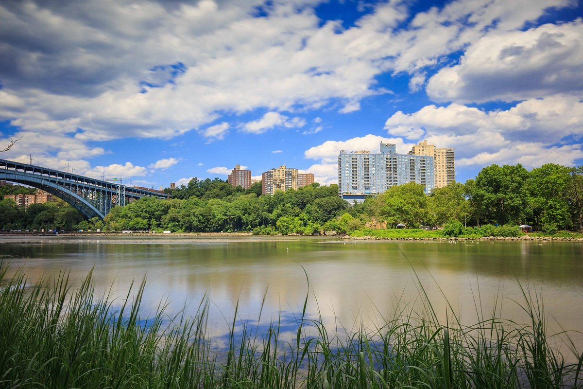 A Field Guide to Imaginary Birds — Inwood Hill Park