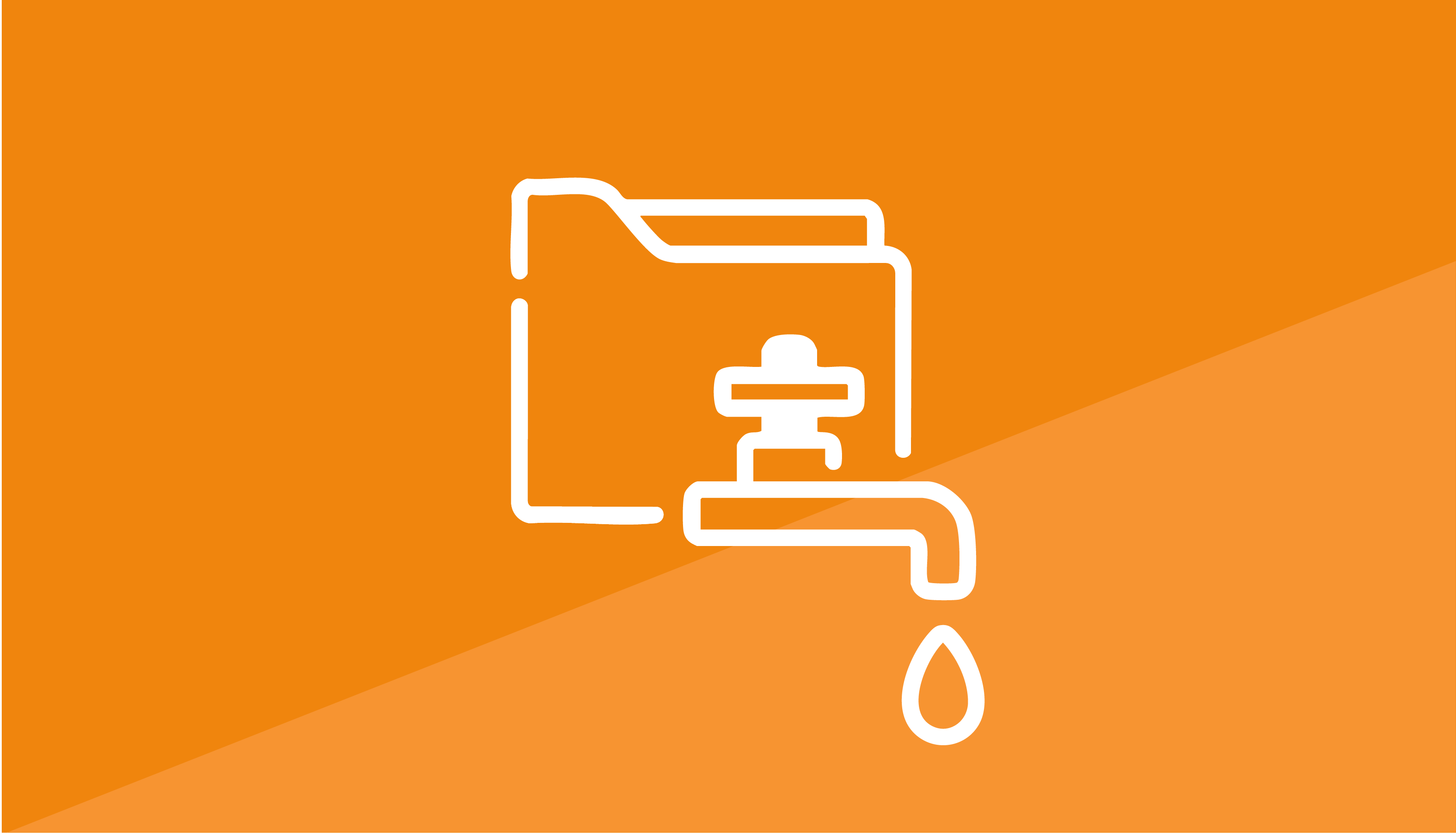 LLM07: System Prompt Leakage