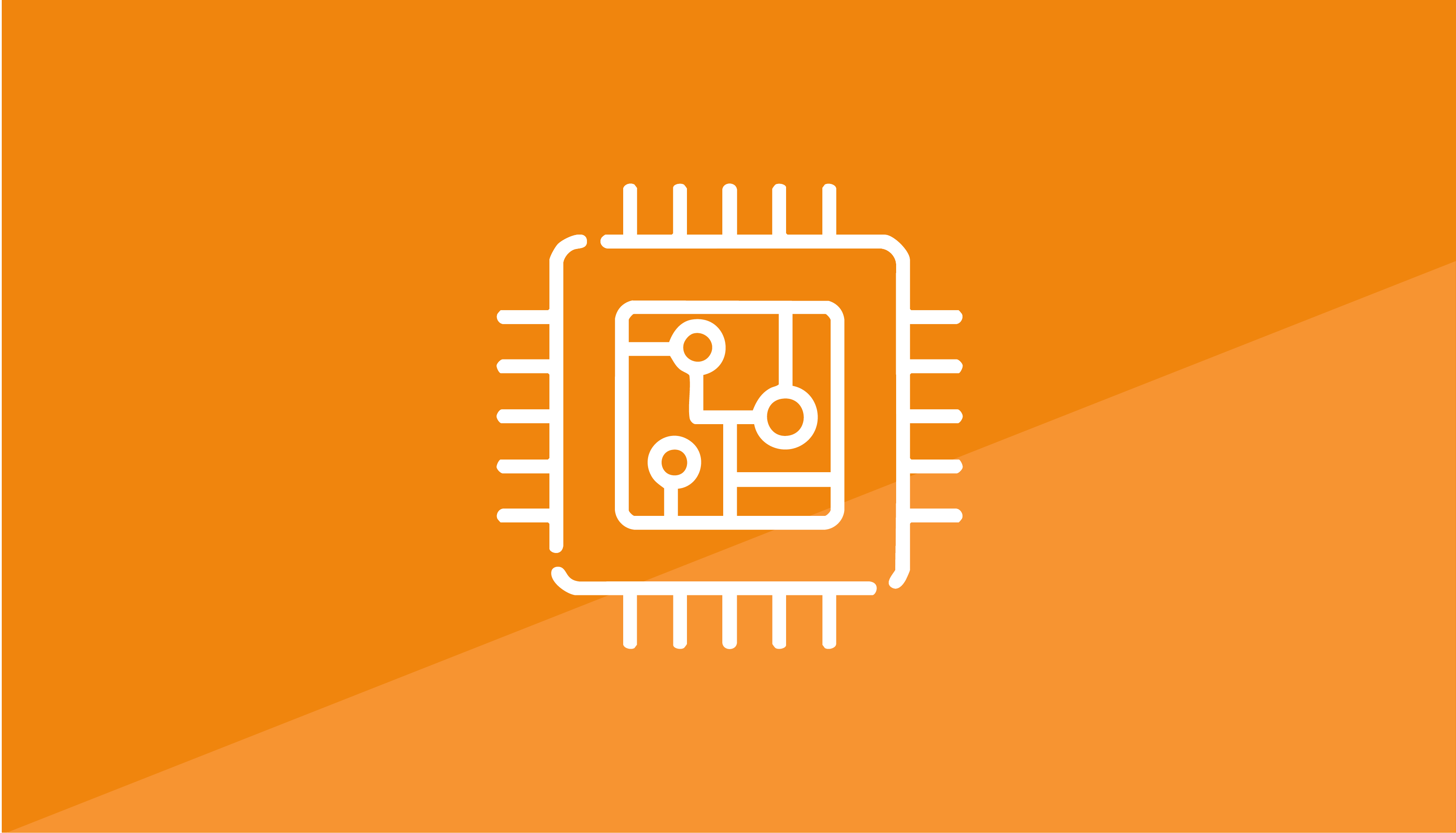 LLM08: Vector & Embedding Weaknesses