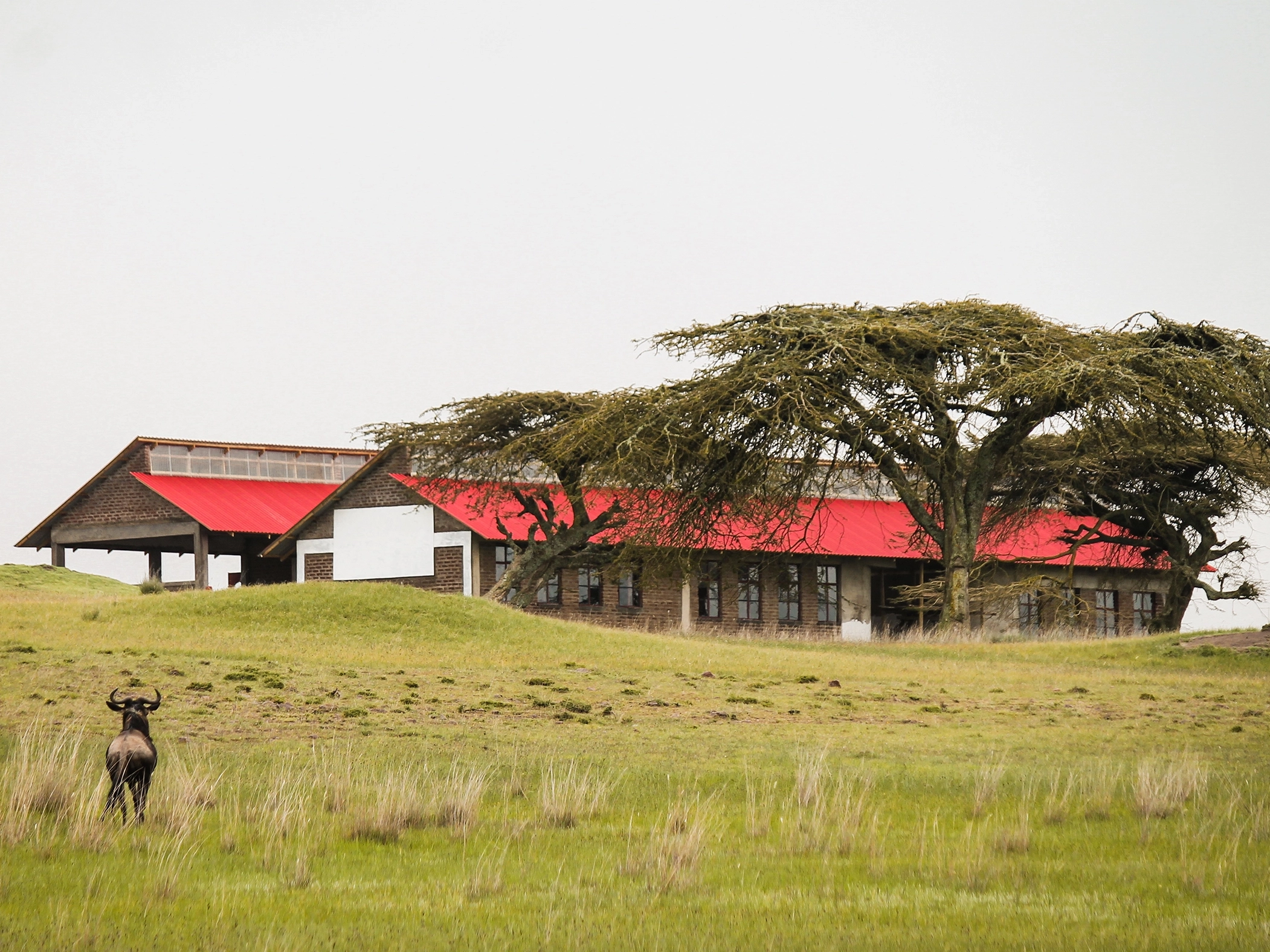 école-architecture-humanitaire-afrique-communautaire