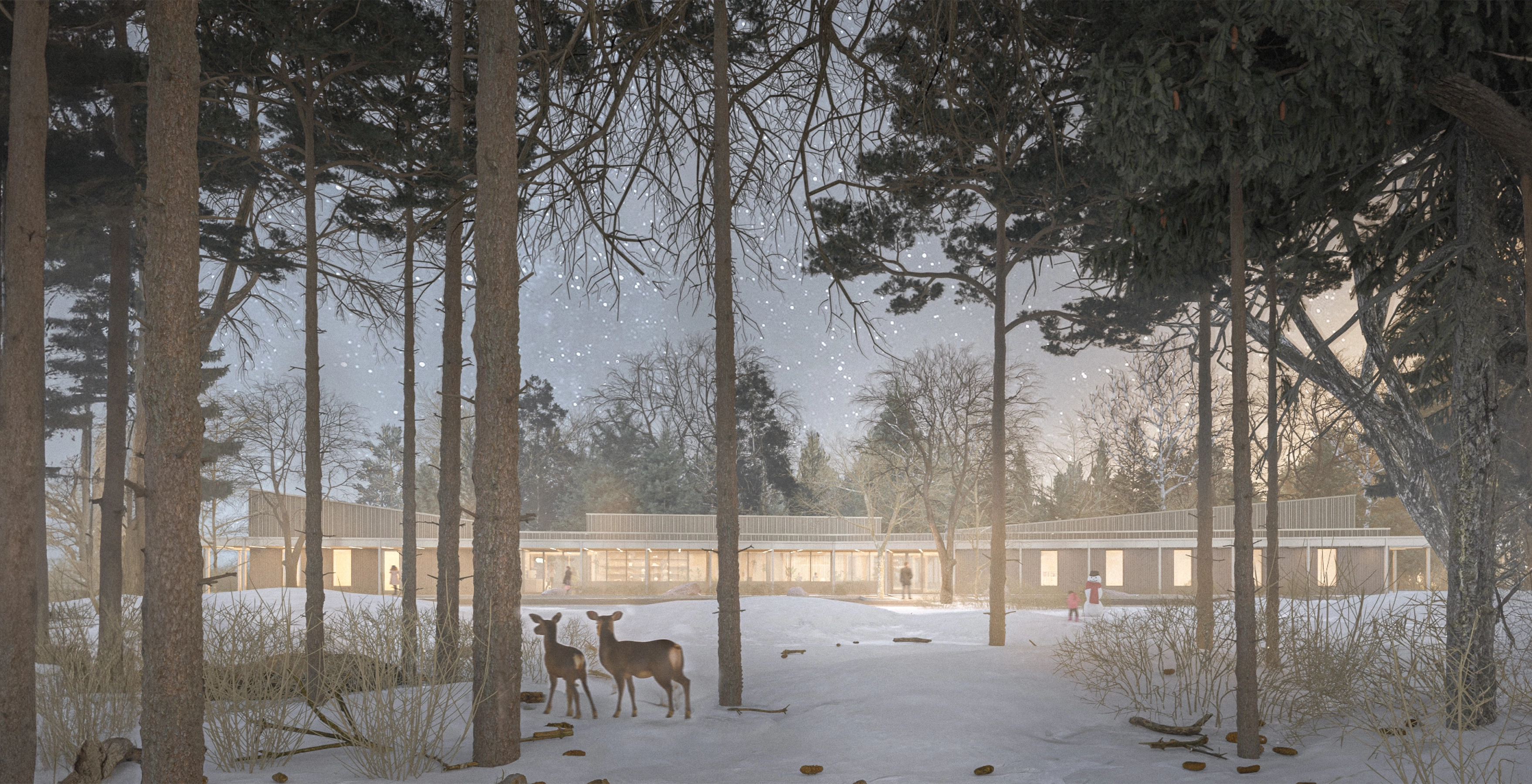 architecture-concours-bibliothèque-institutionnel-ville-forêt