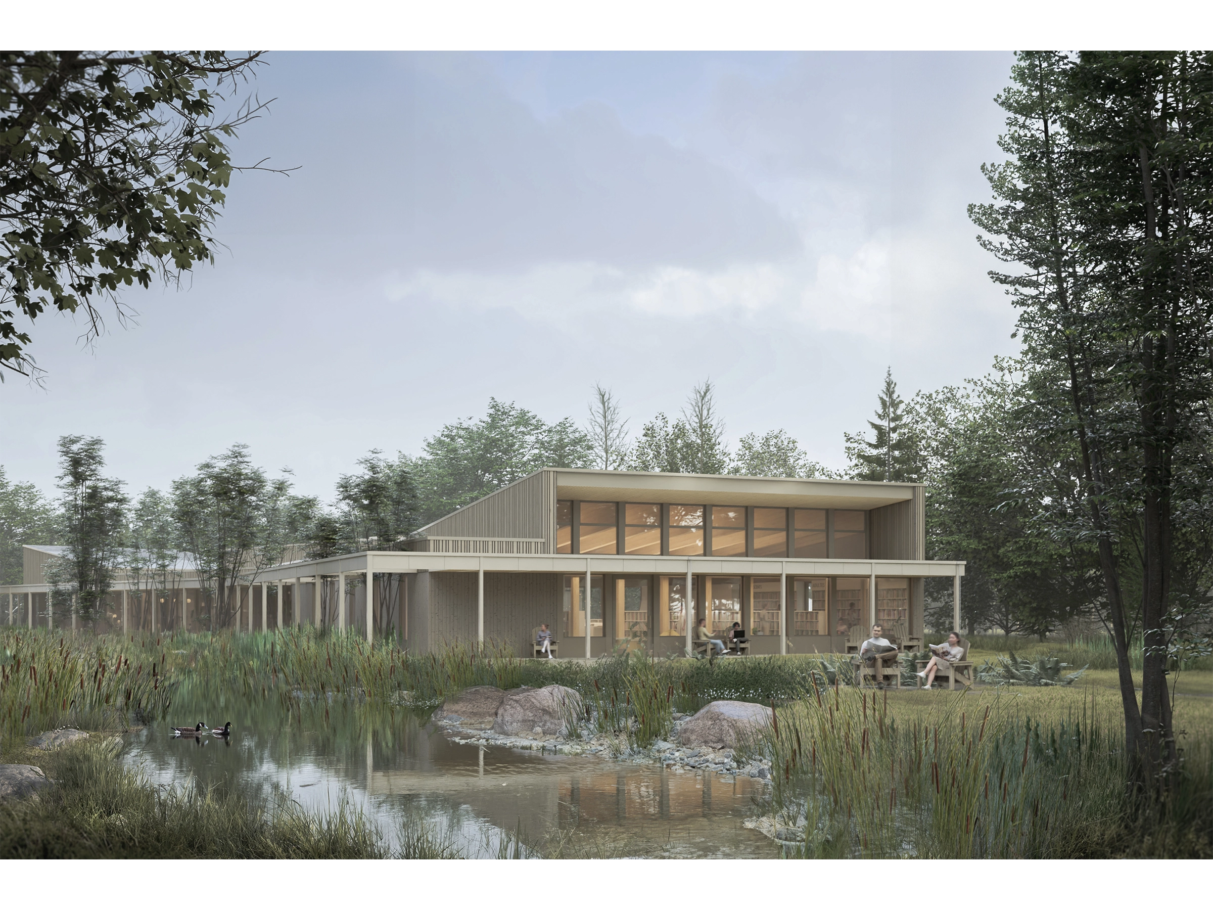 architecture-concours-bibliothèque-institutionnel-ville-forêt