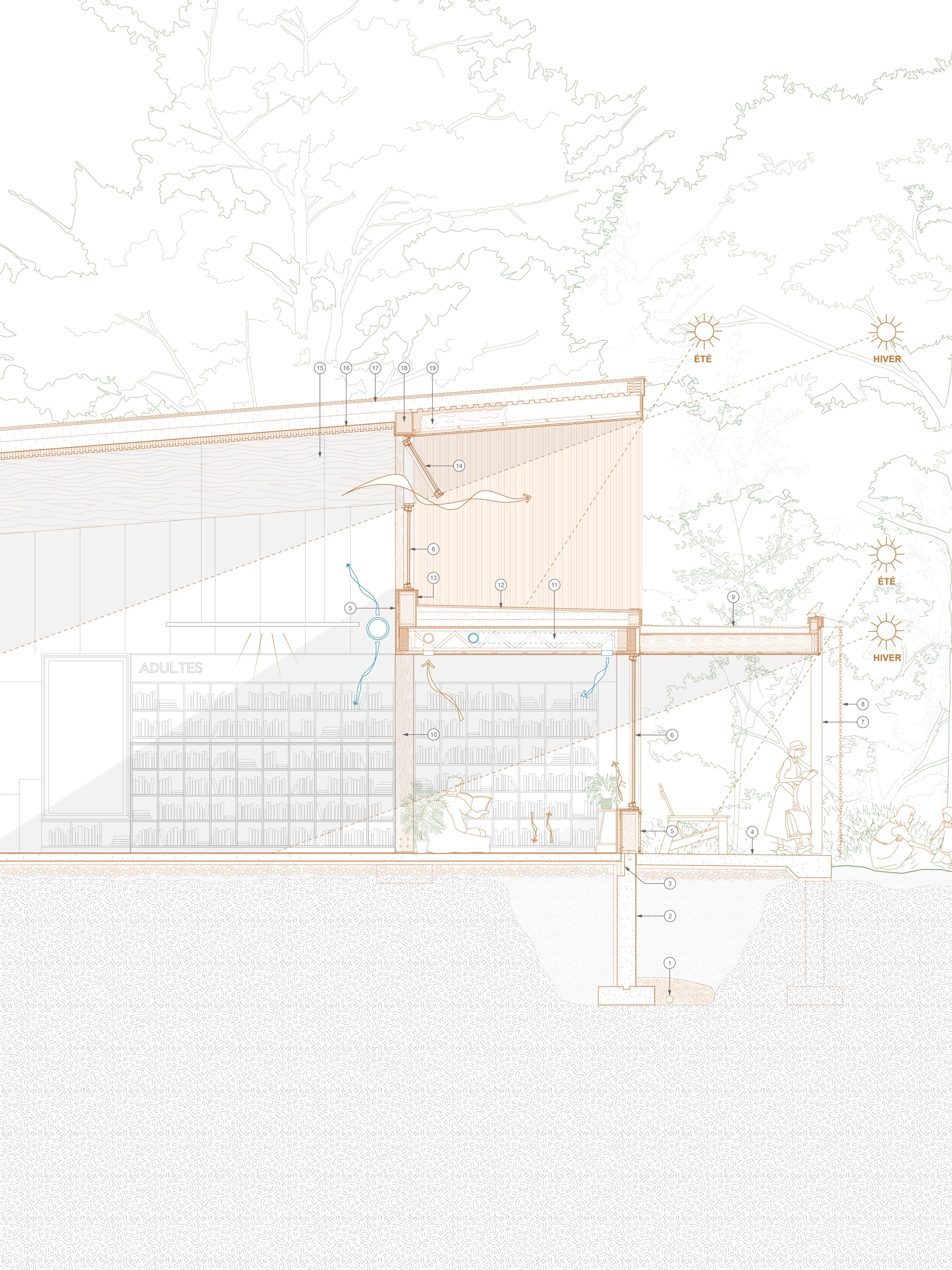 architecture-concours-bibliothèque-institutionnel-ville-forêt