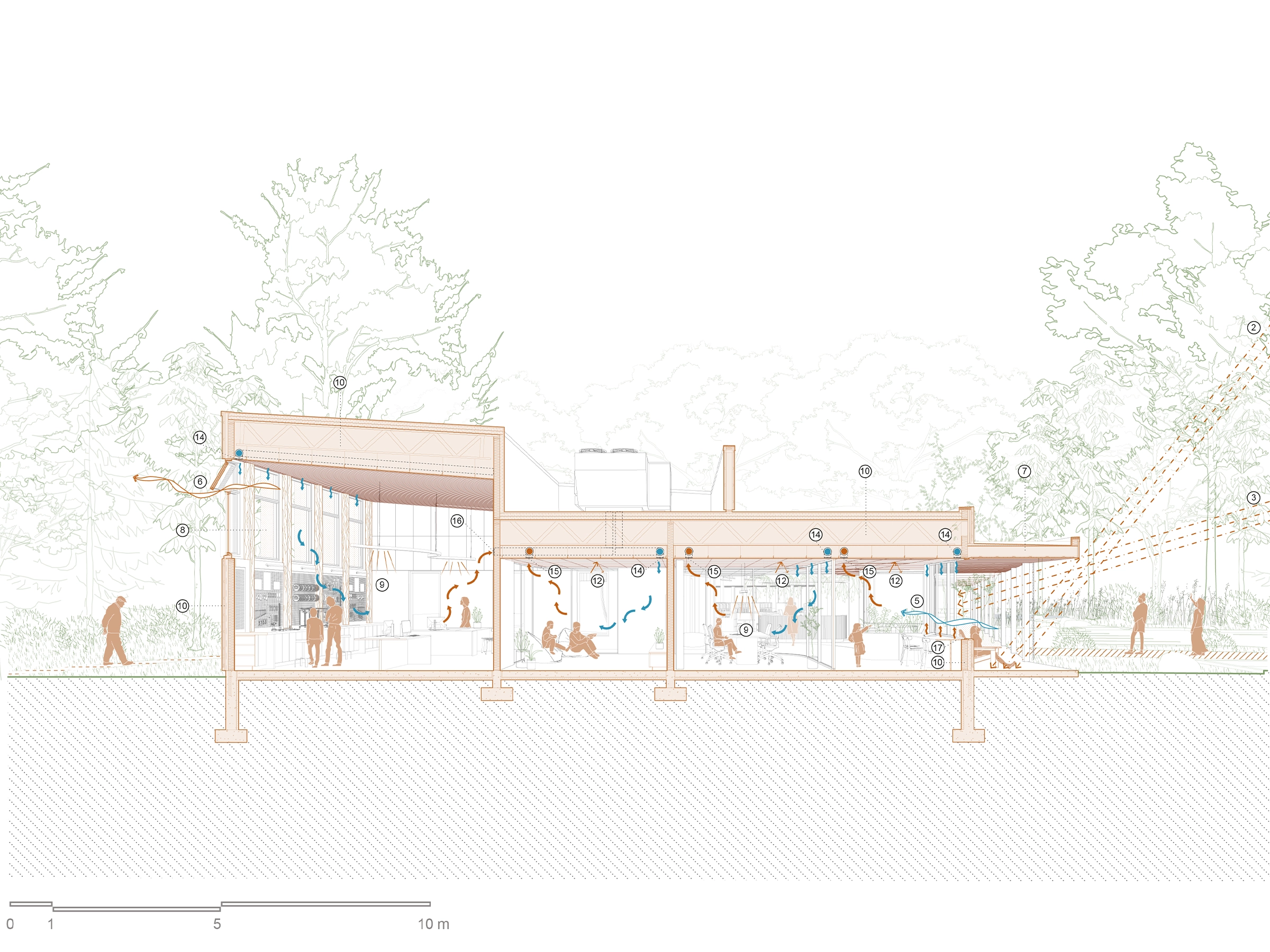 architecture-concours-bibliothèque-institutionnel-ville-forêt